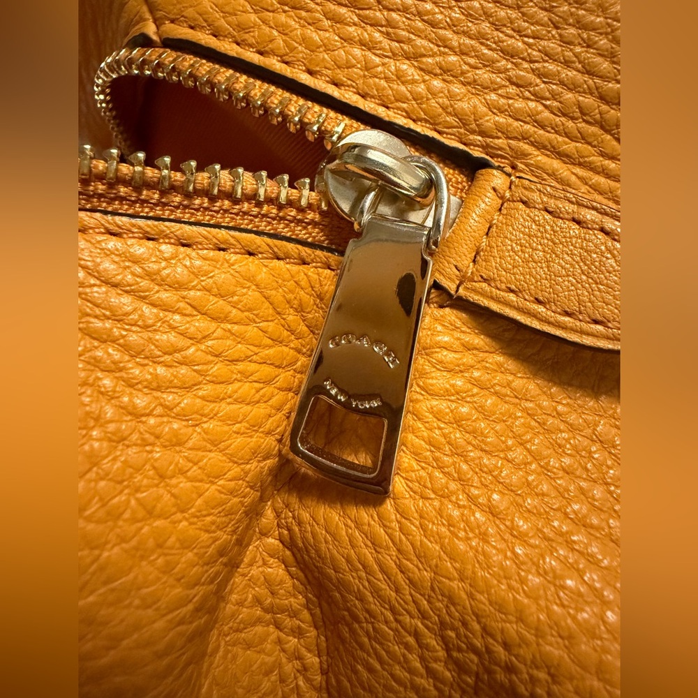 Upcrafted Coach black cat Pheobe Orange - Picture 6 of 15